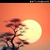 gina_16746