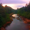 wethum_84074