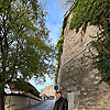 arlin_95031
