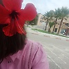 sara_13066
