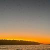 rossie_20862