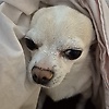 agatha_11282