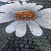 erika_54665