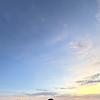 hana_93393