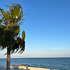 ayse_27682