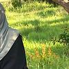 achwak_58901