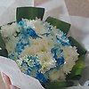 raghad_63930