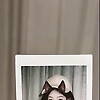 user_71044