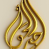jamia_62594