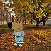 ali_76278