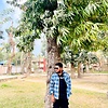 pialsarder