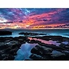tony_94501
