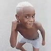 tijolotimido