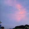 nzryl_u