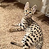 anamaria_73167