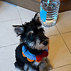 maee_32160
