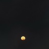 allya_84851