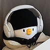 shey_62430