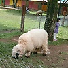 Almiraaaa