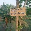 kdanso