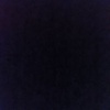 sofiabor_