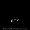 apple_87985
