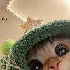 cheonsa_13785