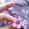 camilla_69637