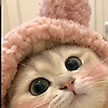 zeynep_45491