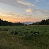 clare26