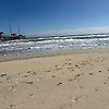 adam_78066