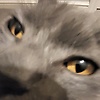 yueli_82915