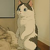 Anu_2404
