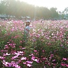 Sweetysommy
