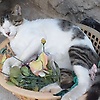 mohamedkha_45117