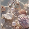 wissal_55127