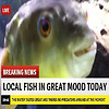 The_News_Blues