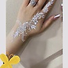 nema_28556