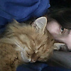 meowalowpwp