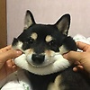 user_9710237