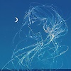 coralina_61240