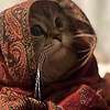 mimazarz