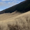 Maonomo