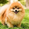 slovana_79949