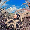 Onlywulan