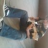 shane93
