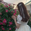Aria_520