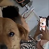 rudra_84013