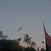ezi_96196