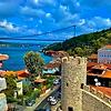 omer_5525